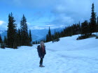 Revelstoke NP im Juli