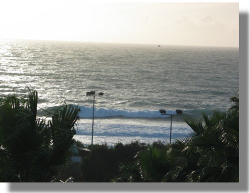 sp_teneriffa_costa_adeje-10